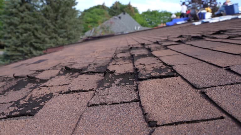 Best Roof Ventilation Installation  in Golden Triangle, NJ